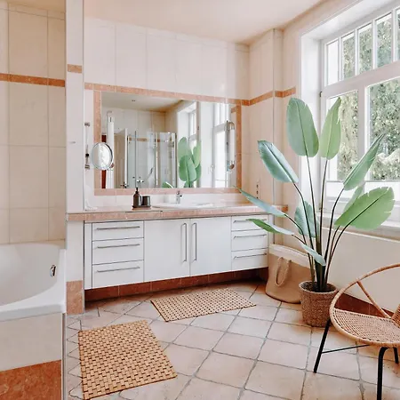 3-zimmer-wohnung 